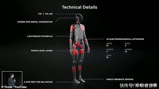 人形|特斯拉将推出人形机器人，干危险无聊的工作，马斯克：身轻易推倒