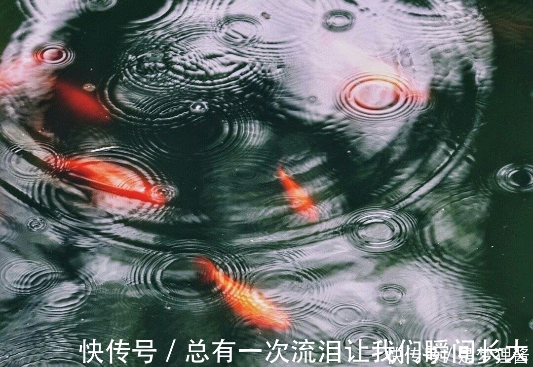 成物|八句经典名言，八种人生智慧，点透世人无数！