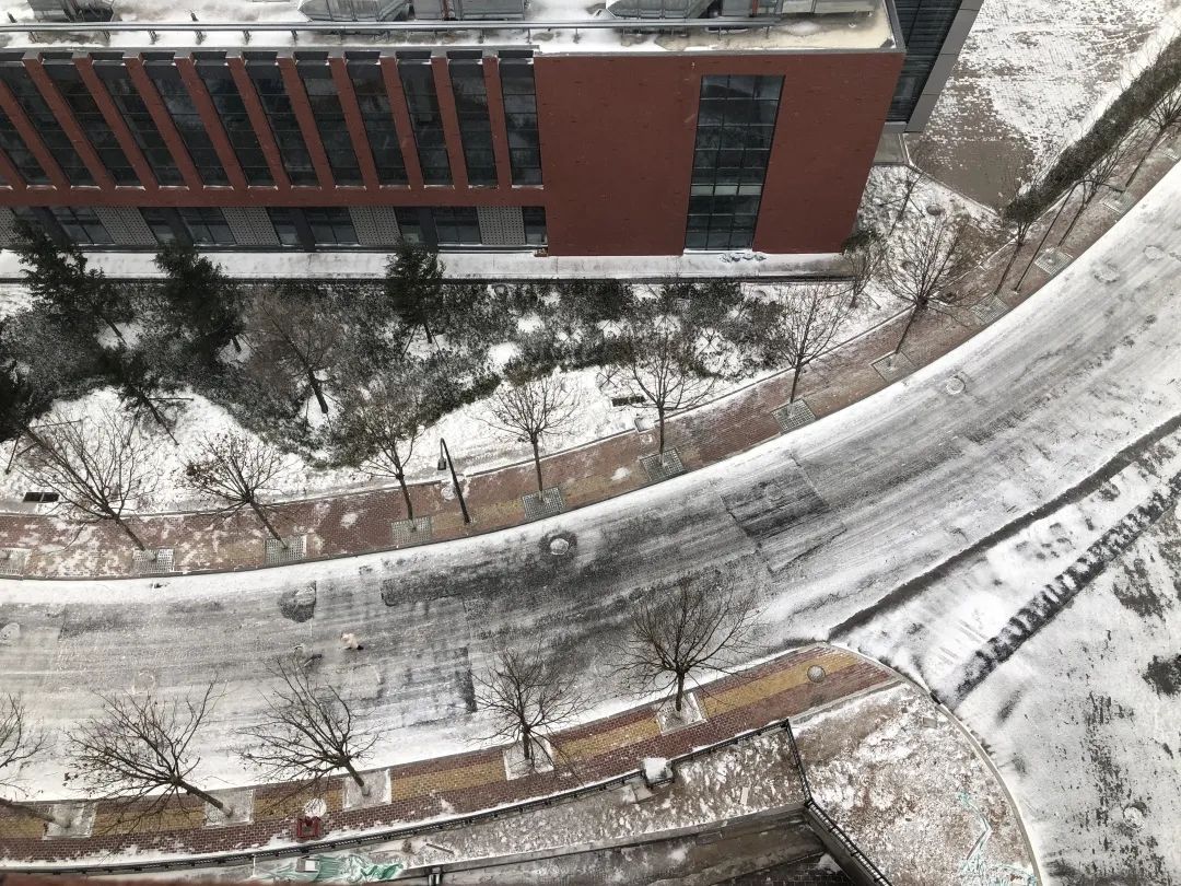 青岛理工大学|今日小雪｜青岛理工大学的雪，你还记得吗？