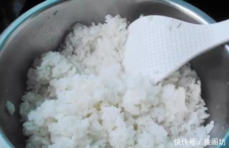 晚上睡觉前焖一锅,第二天起床早餐就有了,营养美味省时还省事