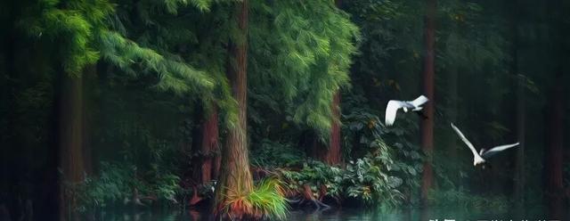 诗词|诗词丨8首佳作,标题仅1个字