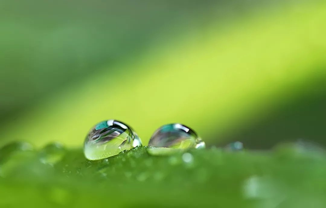大道至简，繁在人心|诗词 | 茅草屋