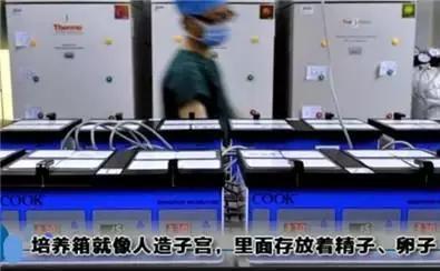 做试管婴儿的全部过程(附图解),看着都疼,可怜天下父母心