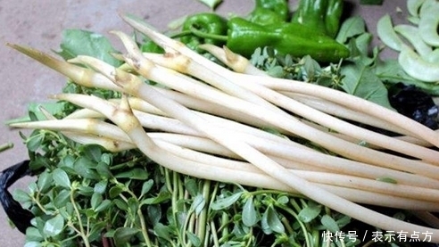 女孩子|农村池塘里边不起眼的它,女孩子最喜欢吃了,滋补又能减肥消脂