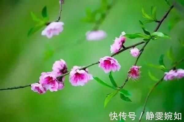 风光数#元稹最深情的6首诗,全是写给白居易的,最后一句成为网红金句!