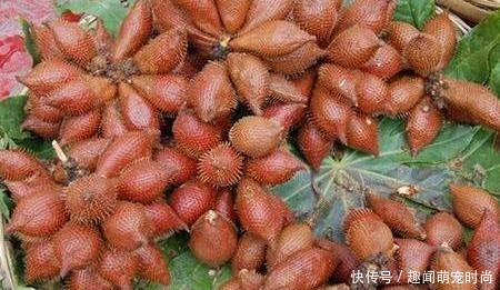 引进我国60多年,国外是高端水果,国内却遭排斥,网友又酸又臭