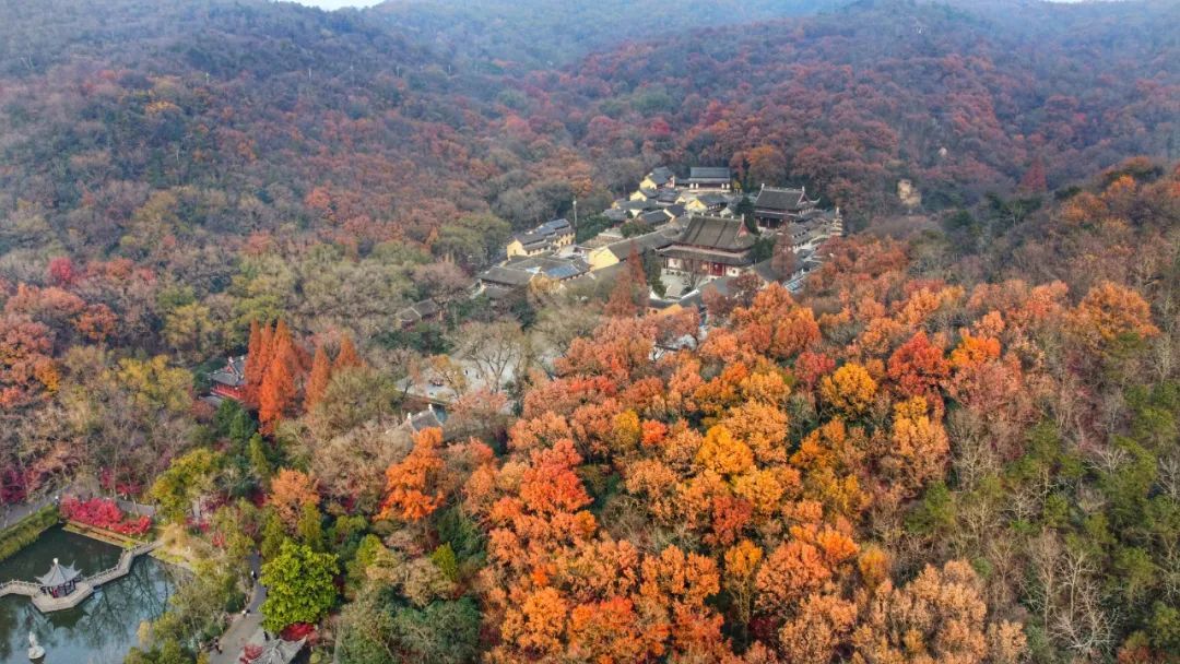 天开岩|栖霞山已经红红红！再等等等就要明年见啦！