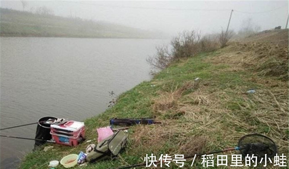 水草|仲春野钓大鲫鱼,这三种天气鱼情最好,随便钓,大鲫鱼也能连竿上