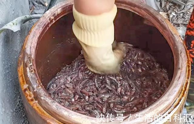 开缸|外公把鱼直接扔进大缸,不杀也不洗,两个月开缸,吃一口满嘴香