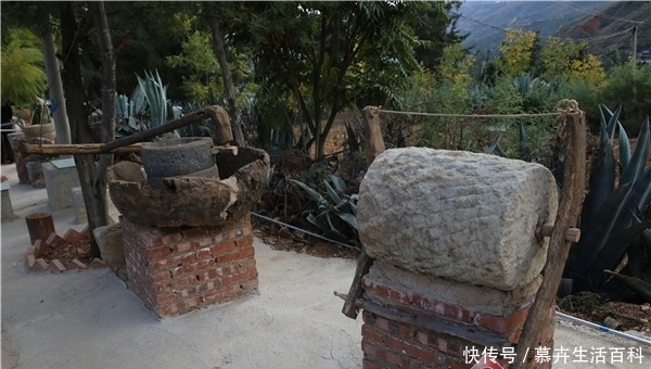 村民|“乡愁路”走出精气神