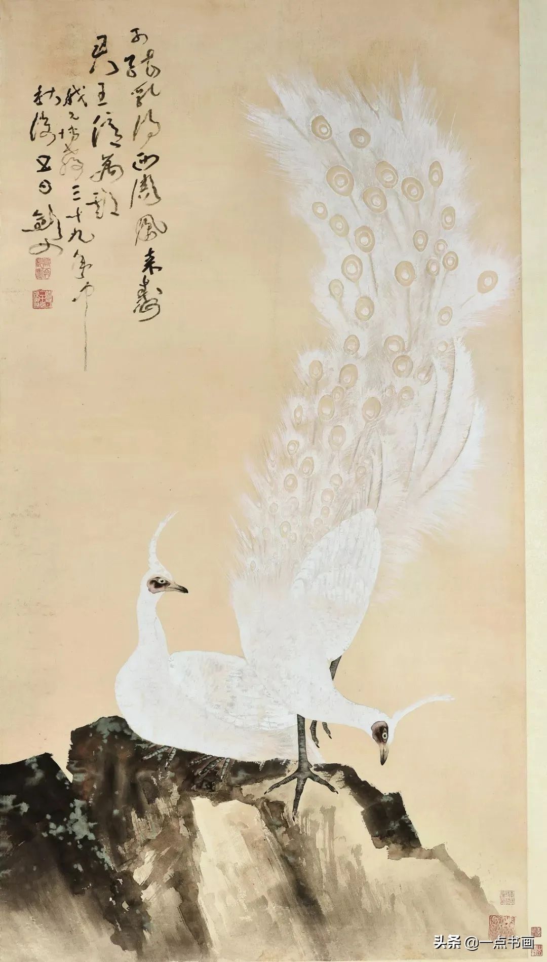 花头！写意孔雀画法讲解