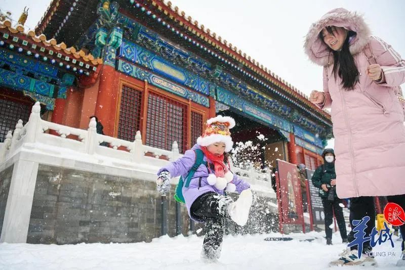 什刹海|去北京，看一场冬奥的雪