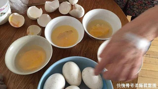 白皮鸡蛋|鹅蛋、鸡蛋、鸭蛋，哪种营养价值最高，对身体健康更有好处