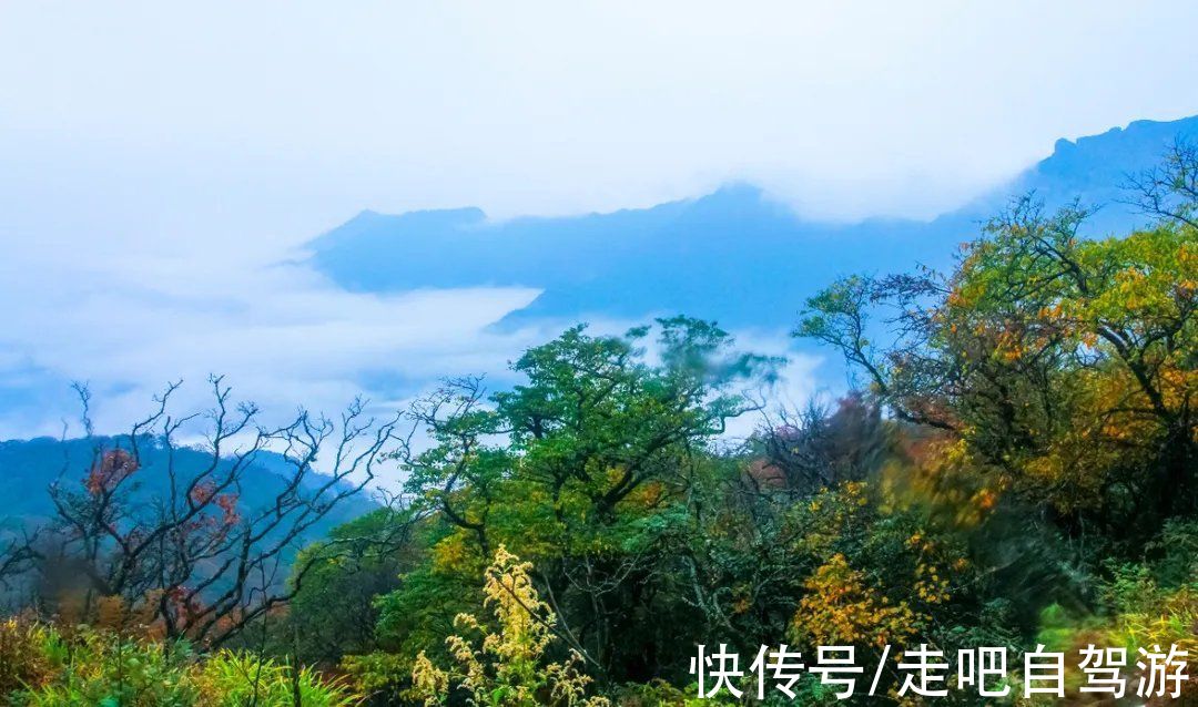 惬意|适合小住几天的醉美慢城，走进风景里，过最惬意的慢生活