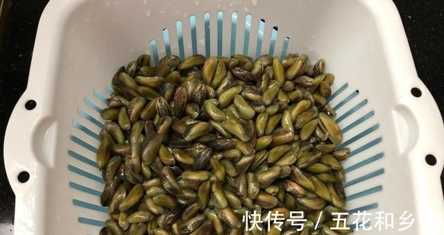 下酒|夏天遇见此海鲜,我从不放过,上锅一蒸简单美味,下酒又下饭!
