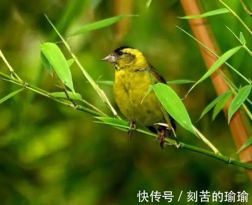 寇准$古人智慧15个机智又有趣对联故事！