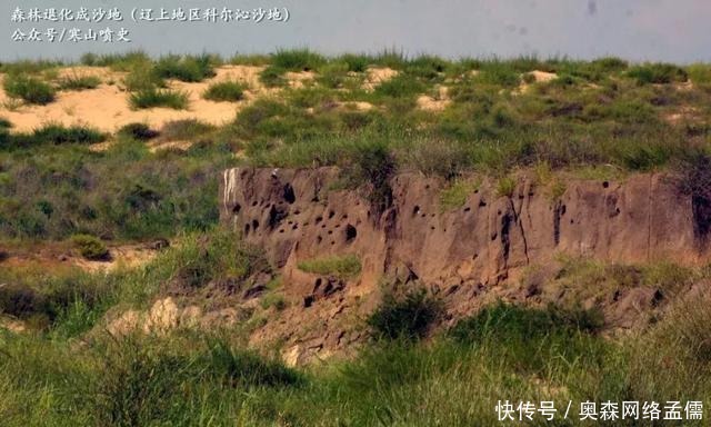 祖先|殷商祖先来自哪里？先商文化如何形成？