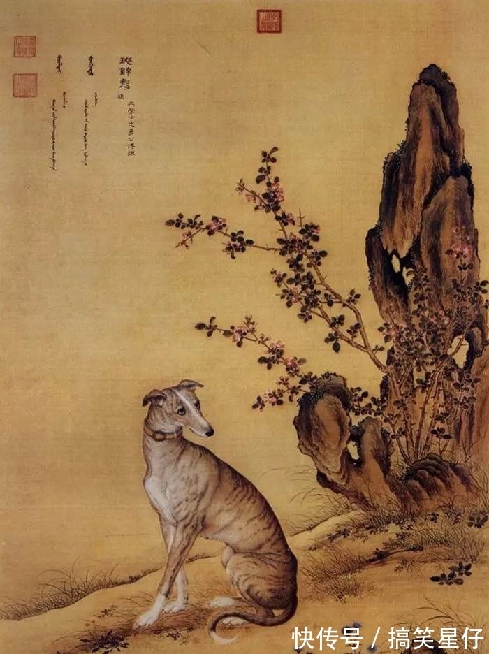 画师@郎世宁为乾隆和妃子们作画,乾隆看完三次后下旨:谁再看凌迟处死