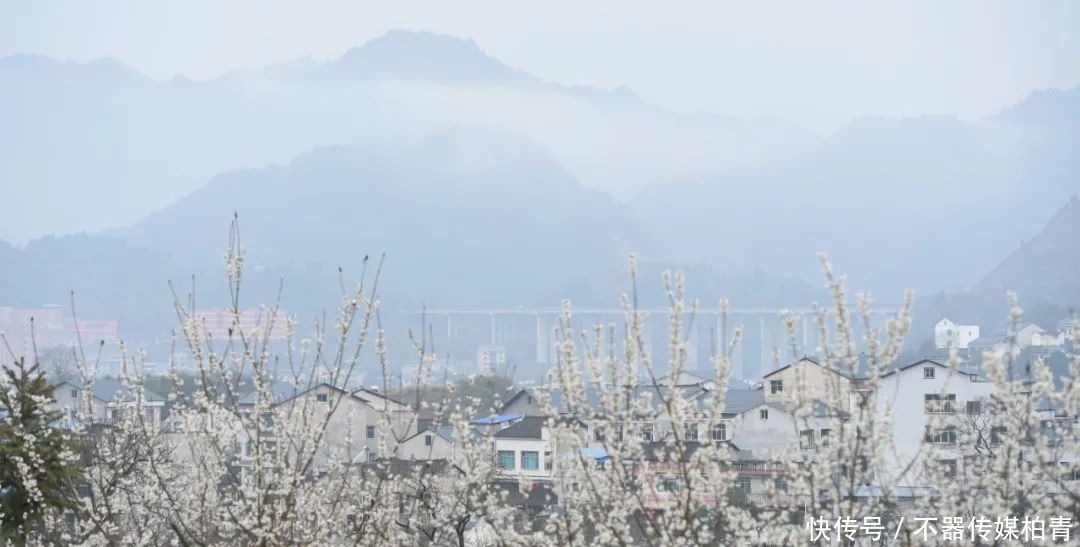 中年|春暖花开游贵州，“花花世界”惹人醉！