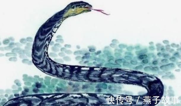 甜蜜蜜|老一辈人常说生肖蛇只要度过“2难”,后半生定能咸鱼翻身