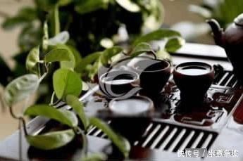 观众|中国首部全面探寻世界茶文化的纪录片《茶,一片树叶的故事》