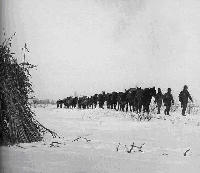 伙土匪|这个土匪打响了抗日第一枪,比马占山、二十九军都早
