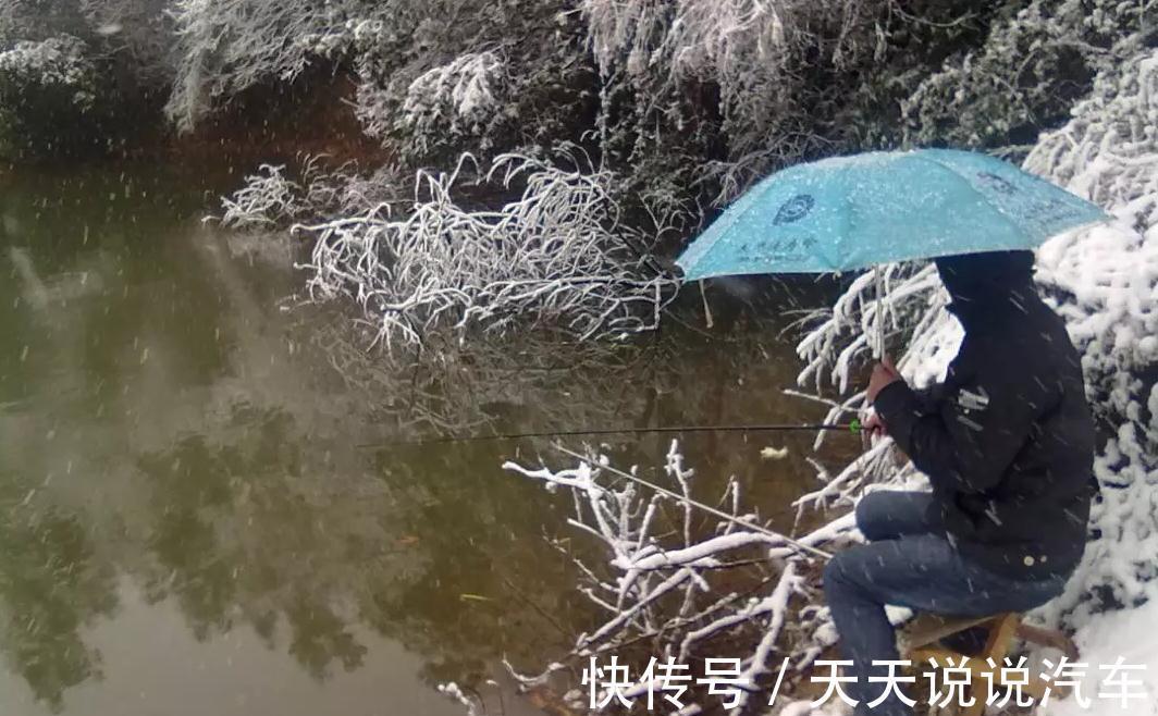 冬钓想要好鱼获,其实真的有秘籍,学会四个勤,多冷都不怕没鱼口