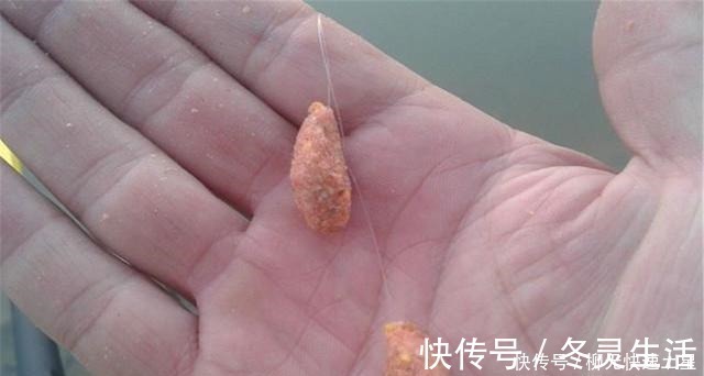 雪花粉|在家自制搓饵并不难,买点小鸡饲料,再加这2物就行了!