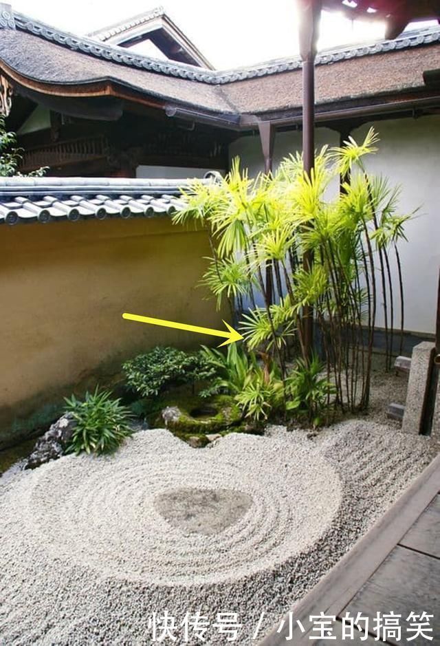 石灯笼|以后我也要做个日式庭院,铺上白沙石块,不要山不要水,禅意十足