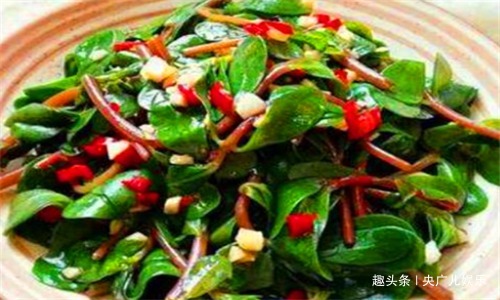 毒素|40岁女性要坚持吃4种食物，排除毒素，净化血液，预防子宫早衰