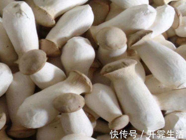 女性|女性不妨坚持吃3种食物，美容养颜、延缓衰老，早吃早好！