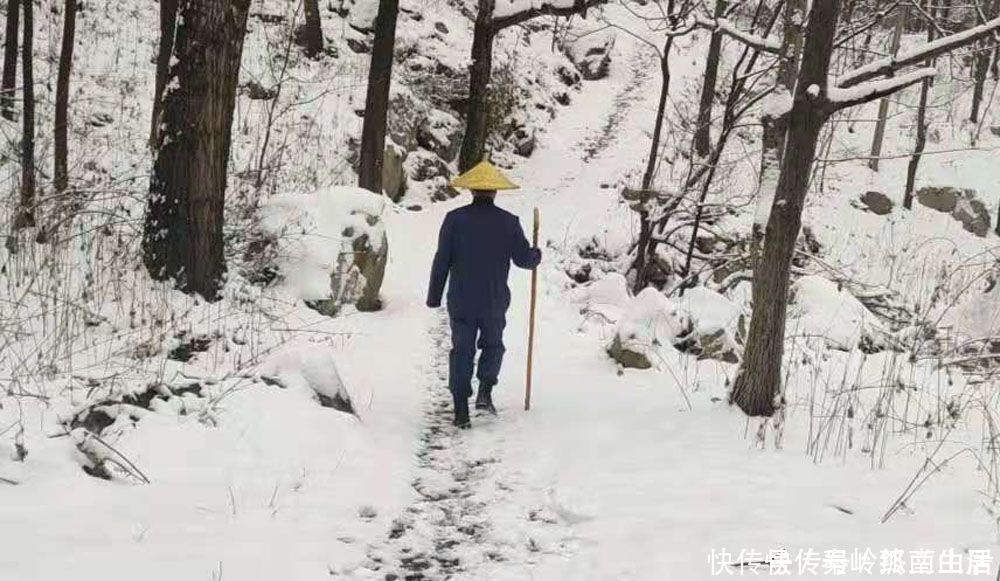 秦岭|秦岭终南山雪后爬山，偶遇神秘山洞和终南隐士，零下二十度怎么过冬？最害怕这件事