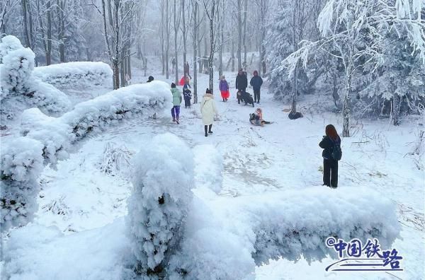 秦岭|这趟票价3元的“慢火车”，带你一路打卡冰雪世界