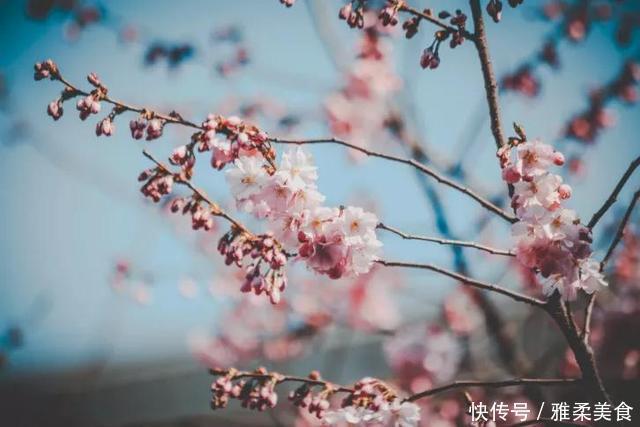 她出身微贱,却纠缠于两位名士之间,因一场官司名噪一时