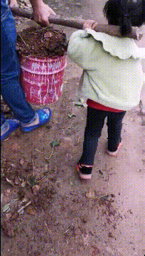 |搞笑GIF:爱干活的小宝宝,真的难为他爸爸了