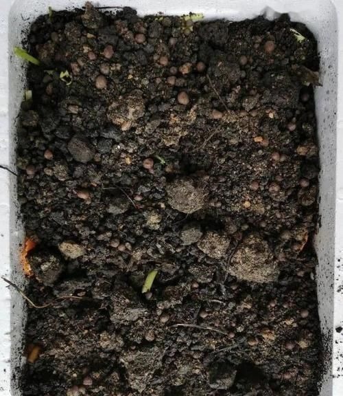 养花土里掺点它,碱性变酸性,花卉叶子呼呼长!