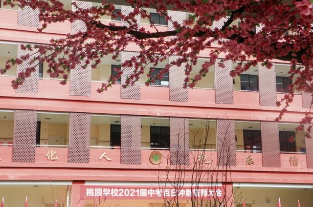 渭南桃园学校2021届“拼博百日 不负芳华”百日誓师大会