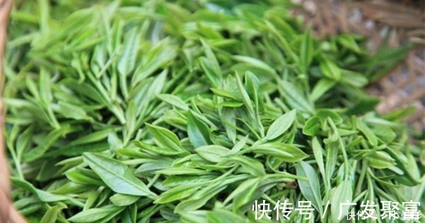 血管堵塞|这些食物堪称高血脂“克星”, 常吃血脂不高, 血管越来越通畅!