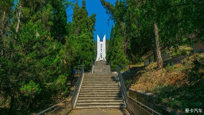 郊野公园看春花