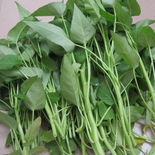 排毒养颜|空心菜与此物混着吃,就是没病找病,还有人每天都吃的停不下来