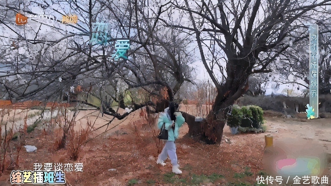 张翰 《妻子的浪漫旅行》再次出圈,一期比一期有看点了