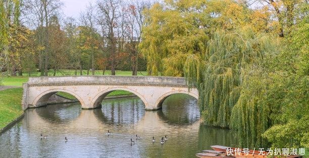 徐志摩|他是浪子也是诗人,“风流才子”徐志摩34年的一生,活得很肆意
