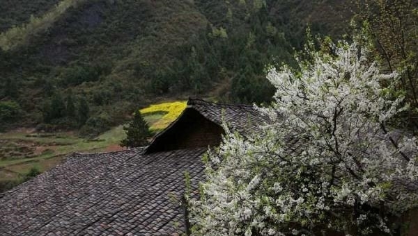 大巴山里的世外桃源 原始古朴春色醉人