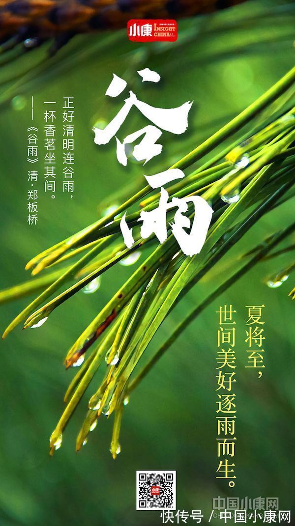 翠竹亭亭!万物有时 岁月成诗:打开二十四节气的另一种方式