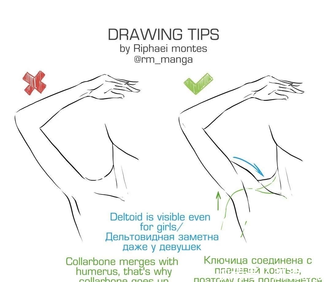 【绘画教程】人体绘画的常见误区,90%的人都中招了!