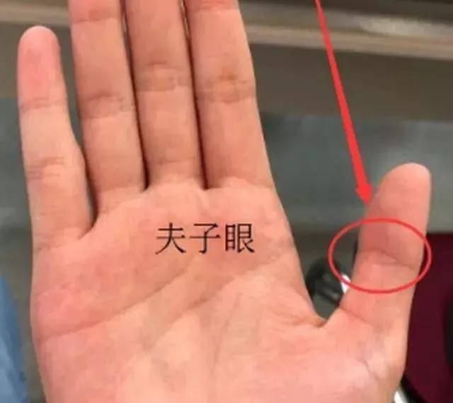 昔尧!“虎口夫子眼,钱财用不尽”,啥是“夫子眼”?古代相术可信吗