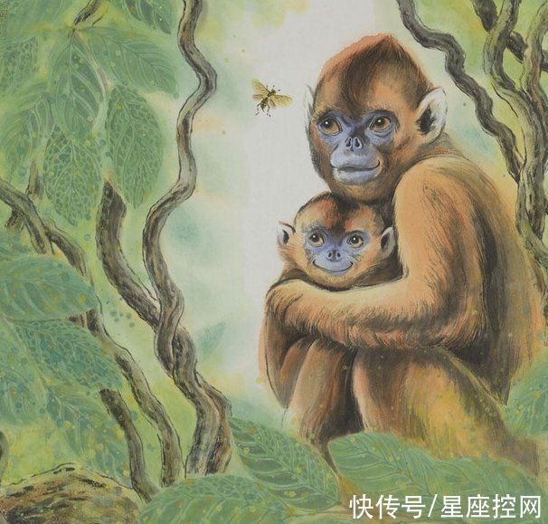 贵人|啥生肖的人,出门在外总有贵人相助,不费心思仍能后来居上