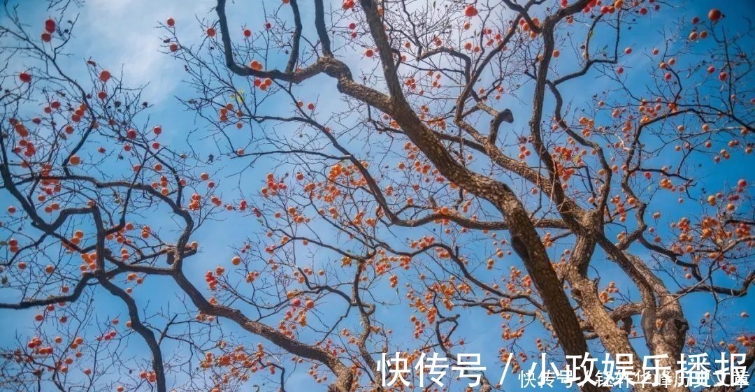 简简吟@宅在家,没事做就读一读这40句古诗词,每一句都是人间绝句