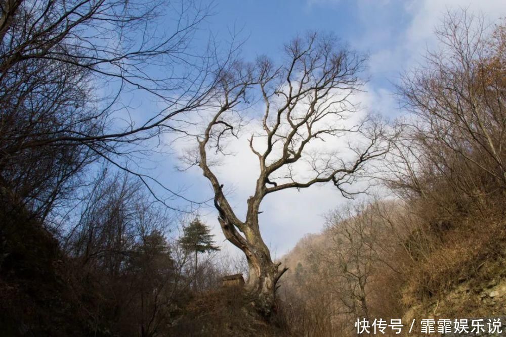 岭沟|再访秦岭岭沟，时隔四年同一位置拍摄的照片，你能发现有何区别？