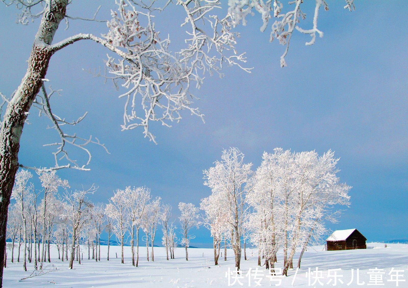 核桃仁|天气寒冷睡眠差,多吃这3种养脾胃的食物,清新安神,舒服过冬天
